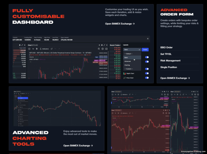 पूरी तरह अनुकूलन योग्य BitMex प्लेटफ़ॉर्म
